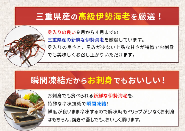 伊勢海老 三重県産 ２尾で９００ｇ サイズ限定特別価格 送料無料 刺身