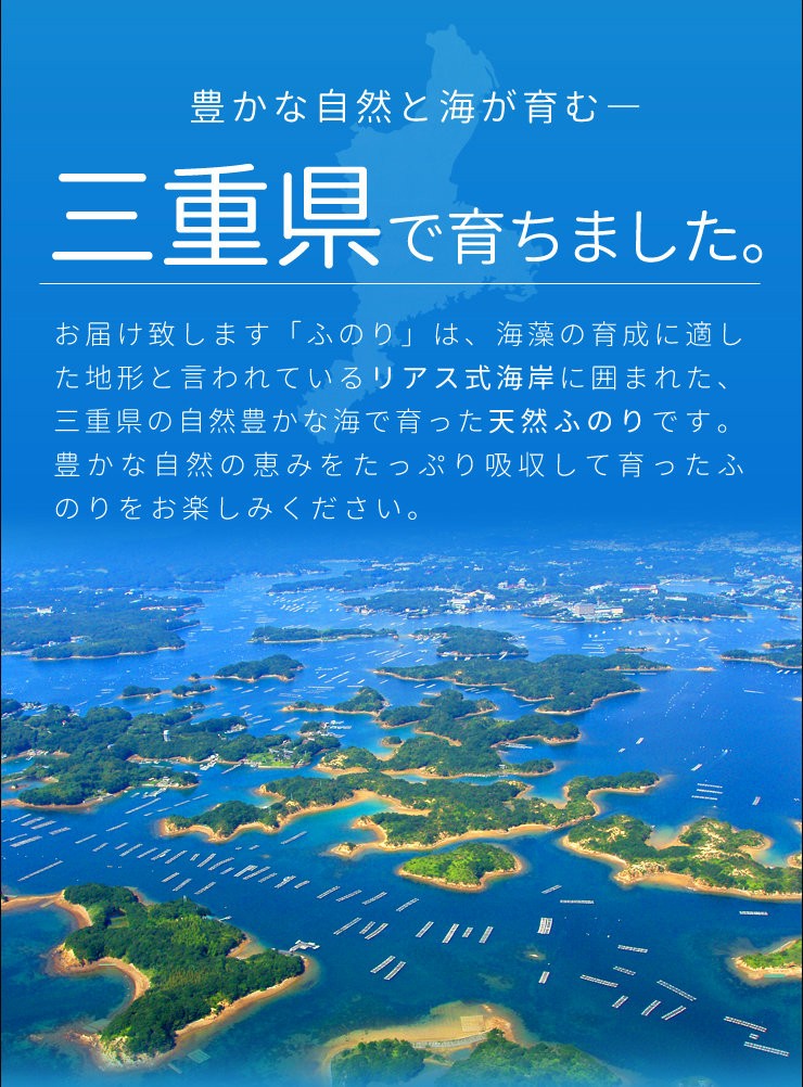 ふのり ８０ｇ 三重県産 メール便 送料無料 天然 国産 海藻 NP :funori1:伊勢鳥羽志摩特産横丁 - 通販 - Yahoo!ショッピング