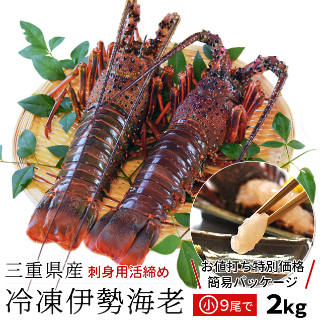 伊勢海老 三重県 伊勢志摩産 選べるサイズ 4〜12尾で約2kg 送料