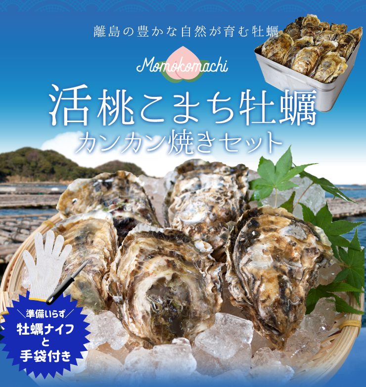 希少品 北海道日高町発 こぶ木（胡桃）、ダケカンバ 置き物