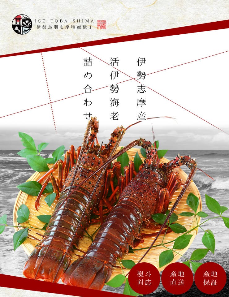 伊勢海老 詰合せ 贈答 パッケージ 3尾〜5尾で1kg 送料無料