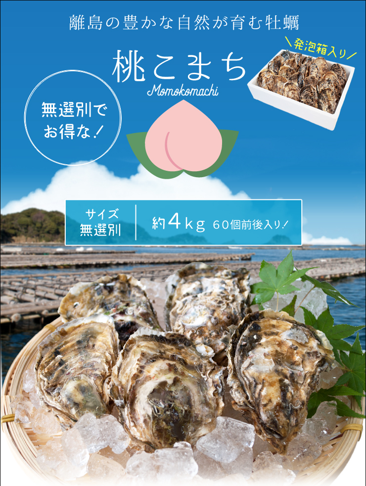 桃こまち 牡蠣 サイズ 無選別 ４ｋｇ（６０個前後入り) 殻付き 牡蛎 発泡箱入り 加熱用 （牡蛎ナイフ・片手用軍手付き） 海鮮バーベキュー :  mm-msn2 : 伊勢鳥羽志摩特産横丁 - 通販 - Yahoo!ショッピング