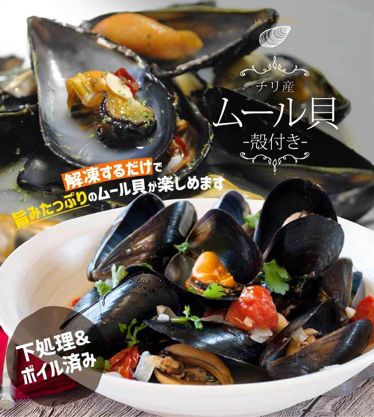 ムール貝 ボイル Ｍサイズ ５００ｇ×２袋 （約８０〜１２０粒）冷凍 送料無料 :mussel0101:伊勢鳥羽志摩特産横丁 - 通販 -  Yahoo!ショッピング