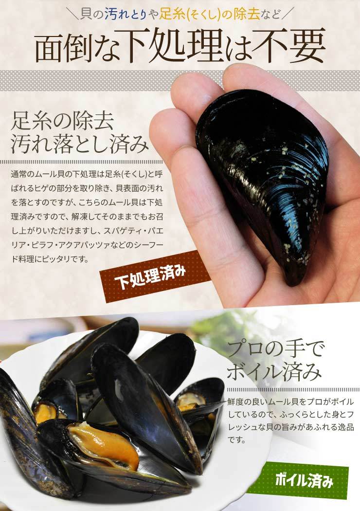 ムール貝 ボイル Ｍサイズ ５００ｇ×２袋 （約８０〜１２０粒）冷凍 送料無料 :mussel0101:伊勢鳥羽志摩特産横丁 - 通販 -  Yahoo!ショッピング