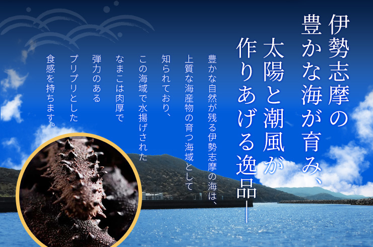 乾燥なまこ A級品 100g 伊勢志摩産 海参 中華高級食材 干しなまこ