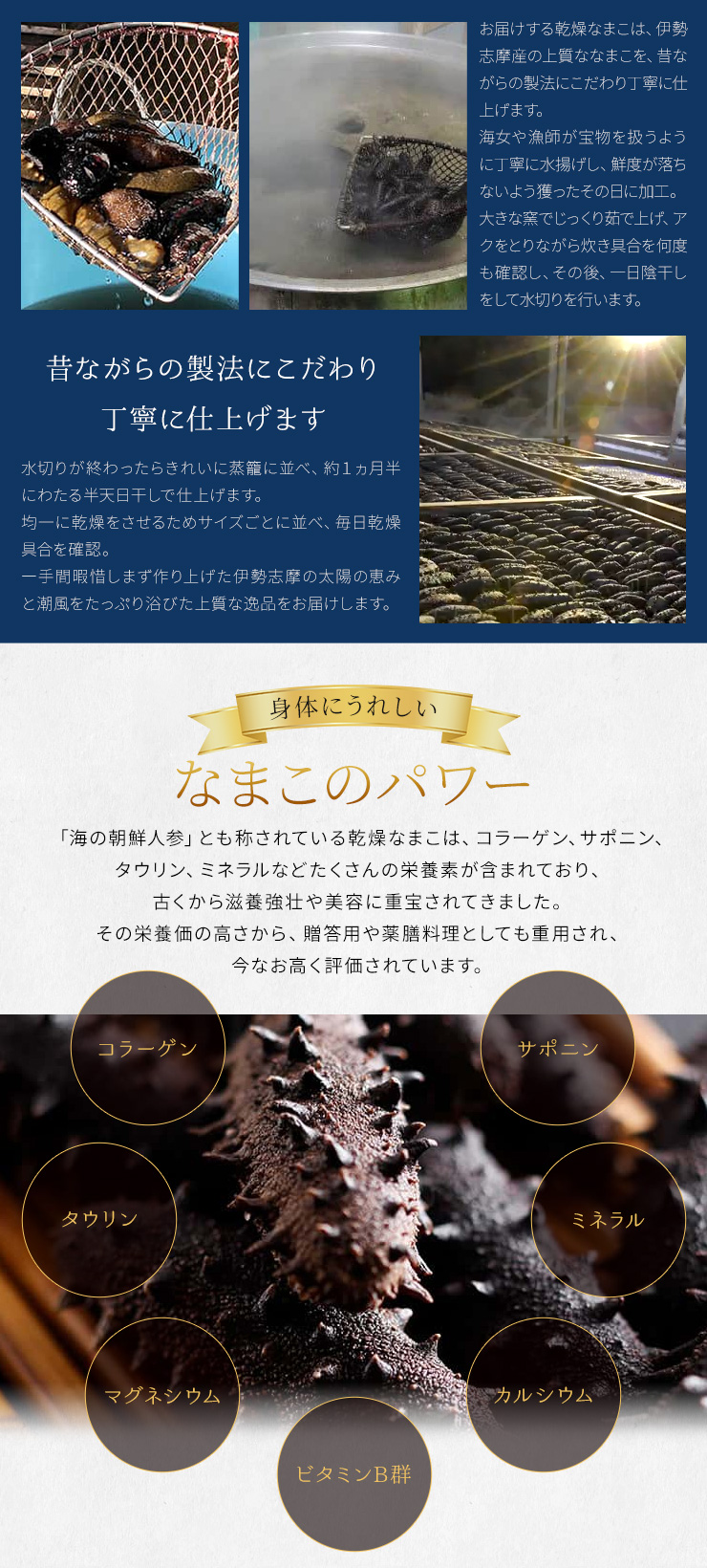 乾燥なまこ A級品 100g 伊勢志摩産 海参 中華高級食材 干し