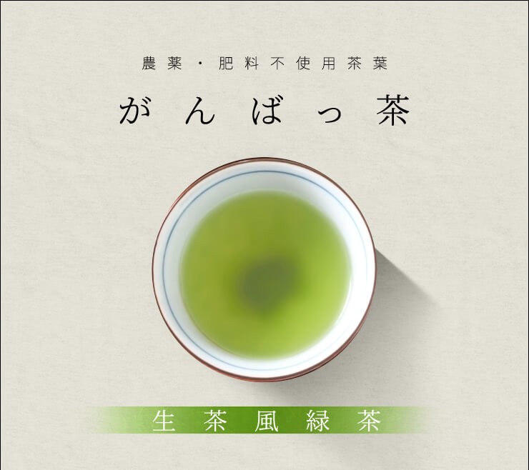 伊勢茶 生茶風仕上げ 伊勢 緑茶 ２００ｇ（１００ｇ×２個） お茶 無農薬 日本茶 三重県産 農薬・肥料不使用栽培 : isecha-namacha  : 伊勢鳥羽志摩特産横丁 - 通販 - Yahoo!ショッピング