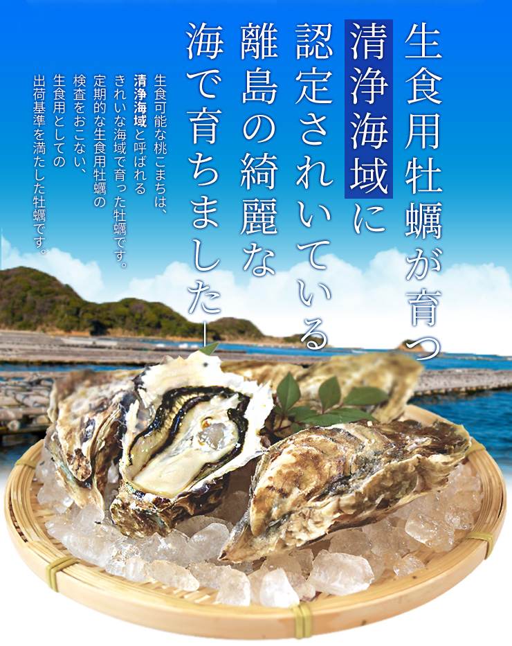 桃こまち 牡蠣 ２０個入 殻付き牡蠣 生食可（牡蠣ナイフ・片手用軍手付き）三重県鳥羽の離島 桃取の希少牡蛎 浦村 発泡箱入り 御歳暮 ギフト