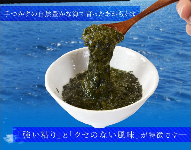 離島 あかもく 90g×10パック 伊勢志摩産 送料無料 アカモク 離島 あかもく 90g×10パック 伊勢志摩産 送料無料 アカモク
