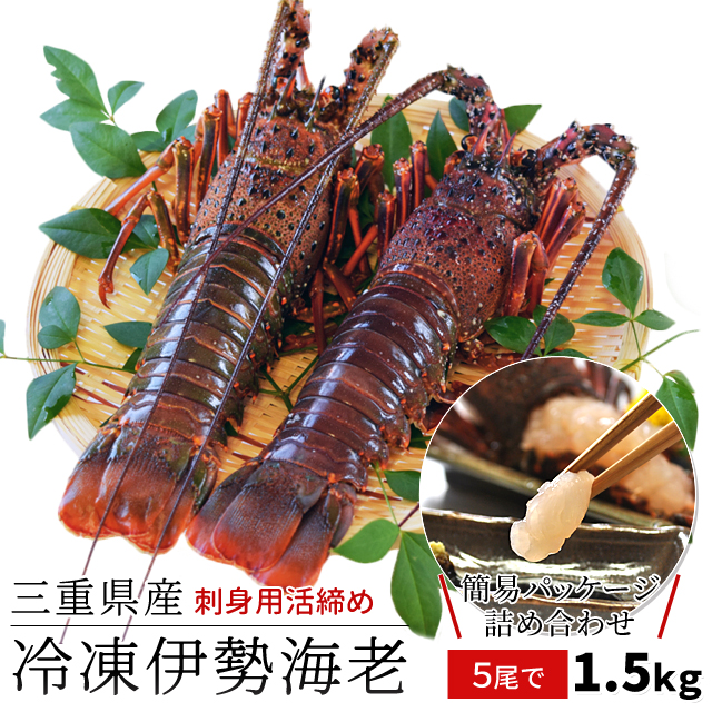 三重県産 伊勢海老 詰合せ ４尾 ８尾で約１ ５ｋｇ 送料無料 刺身用 瞬間冷凍 伊勢エビ 尾数選べます あすつく対応 Reitouebiset1500 伊勢鳥羽志摩特産横丁 通販 Yahoo ショッピング