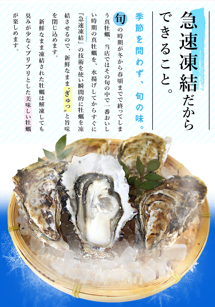 絶品　生牡蠣　カキ　10キロ(約100個前後)軍手ナイフ付　伊万里湾産　送料無料 KlmLa6g2UcLi6SUzB-