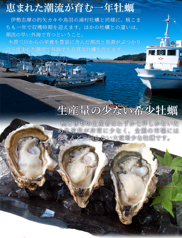 数量限定　生牡蠣　カキ　10キロ　軍手ナイフ付　伊万里湾産　送料無料 牡蠣 サイズ無選別 4kg 冷凍牡蠣 送料無料 桃こまち 鳥羽産