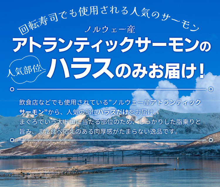 サーモン ハラス 切り落とし 刺身用 生・炙りどちらか選べる５００ｇ サイズ不揃い お値打ち品 トロ 生食 アトランティックサーモン 冷凍  :salmon0101:伊勢鳥羽志摩特産横丁 - 通販 - Yahoo!ショッピング