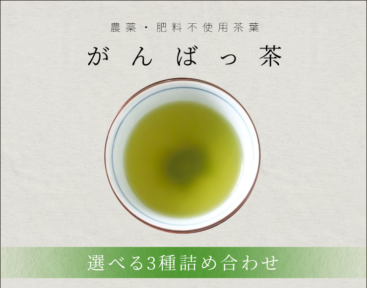 日本茶 伊勢茶 選べる お茶 ３袋 詰合せ 農薬・肥料不使用栽培 無農薬