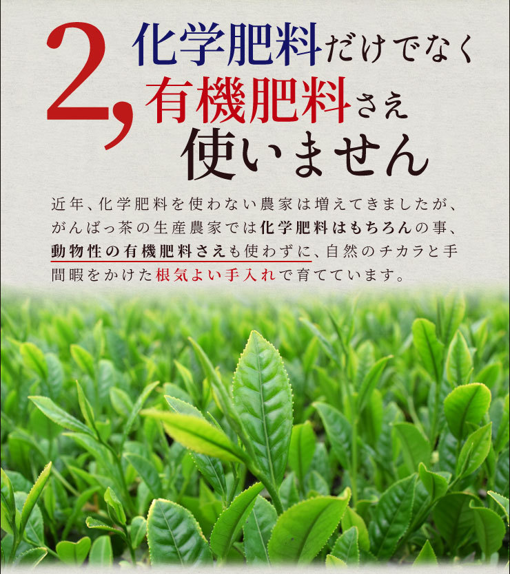 SALE／73%OFF】 無農薬 茶 番茶 カテキン お茶 緑茶 日本茶 水出し 伊勢茶特別栽培無農薬荒茶 柳茶 100g  materialworldblog.com