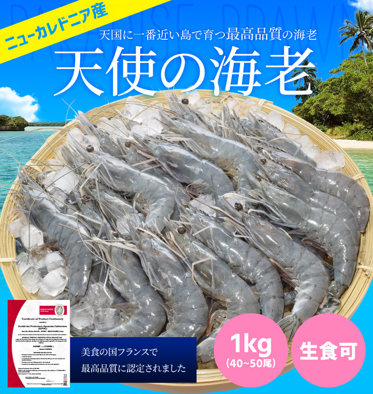 天使の海老 中サイズ １ｋｇ（４０〜５０尾入り） 送料無料 海老 刺身 生食 冷凍 大容量 パラダイス プロン  :tensiebi0101:伊勢鳥羽志摩特産横丁 - 通販 - Yahoo!ショッピング