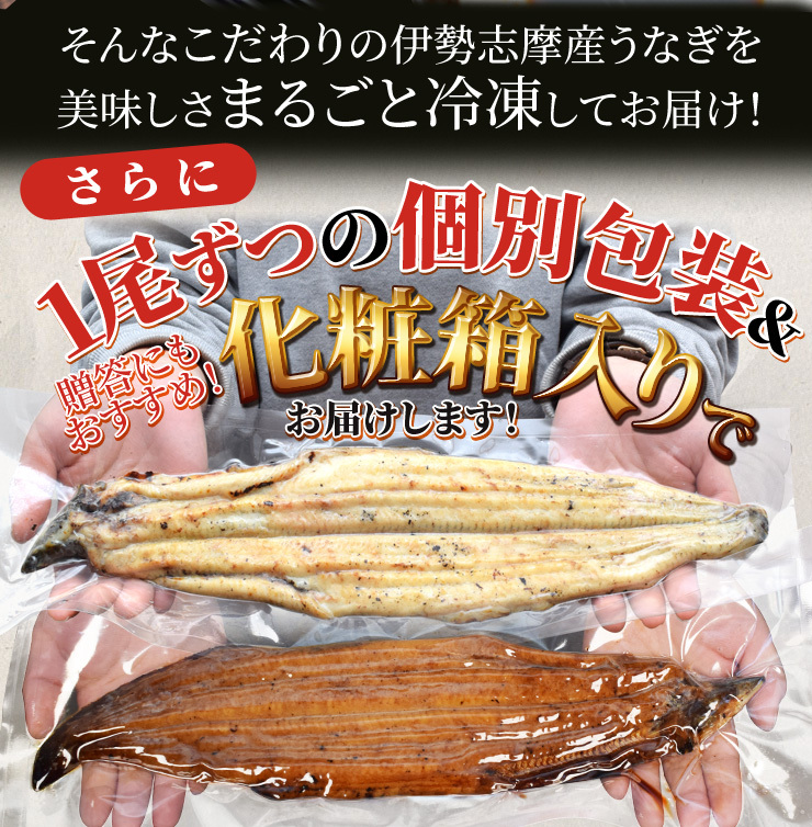 うなぎ セット 伊勢志摩産 特大サイズ２尾（たれ１尾 白焼き１尾