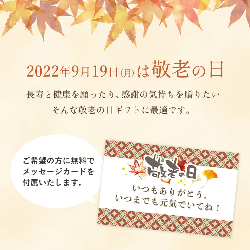 敬老の日ギフト 敬老の日 プレゼント 実用的 1000円ポッキリ 送料無料 爪切り 耳かき ひんやりブランケット 600×800 クール  :k-fa10:ブリッジトレード - 通販 - Yahoo!ショッピング