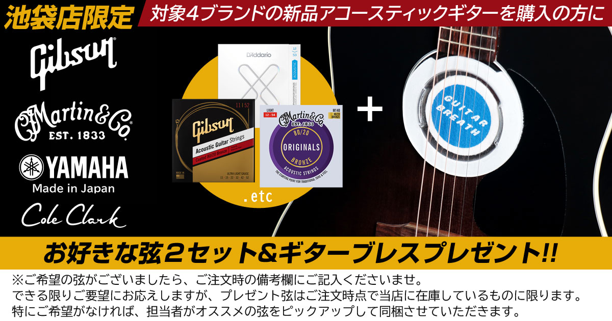 池袋店アコースティックギターキャンペーン