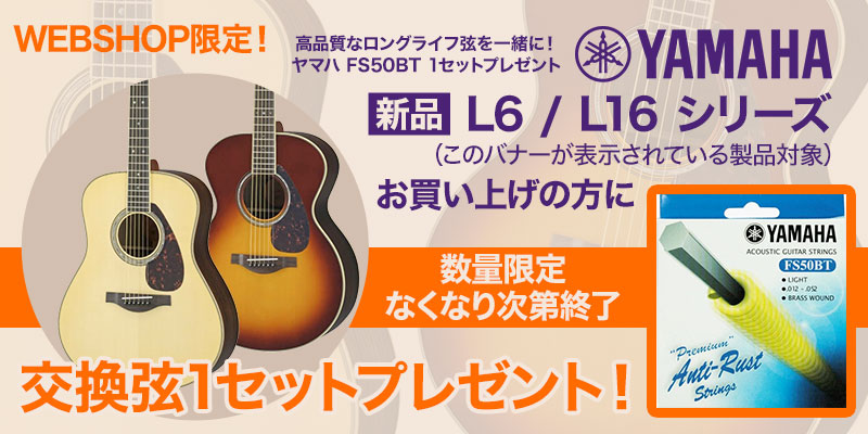 YAMAHA（ヤマハ） (在庫有り)YAMAHA / LL16D ARE Natural(NT)(専用