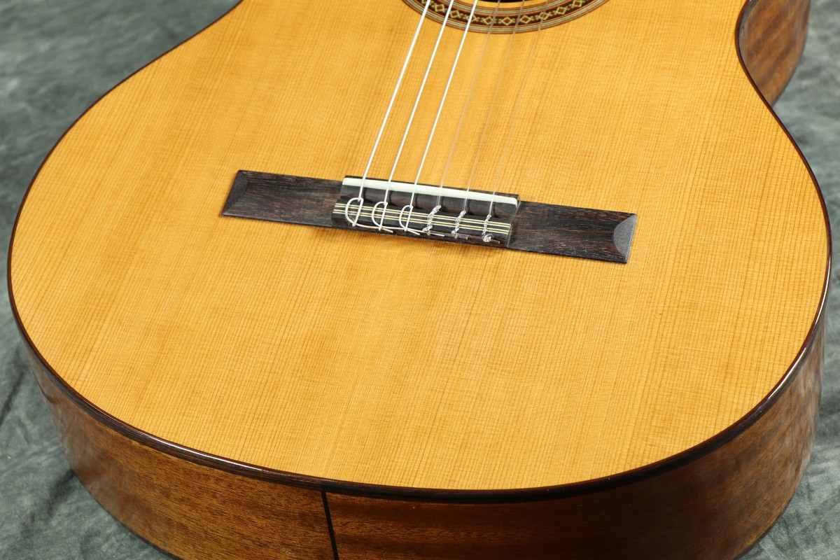 WEBSHOPクリアランスセール)(在庫有り) Cordoba / C5(特典つき/+80