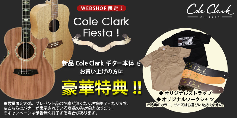 ✨20周年限定モデル ✨cole clark CCFL2EC-BMR-ANVSY Cole Clark コール・クラーク CCFL2EC-BMR-ANI 20周年記念モデル *2023