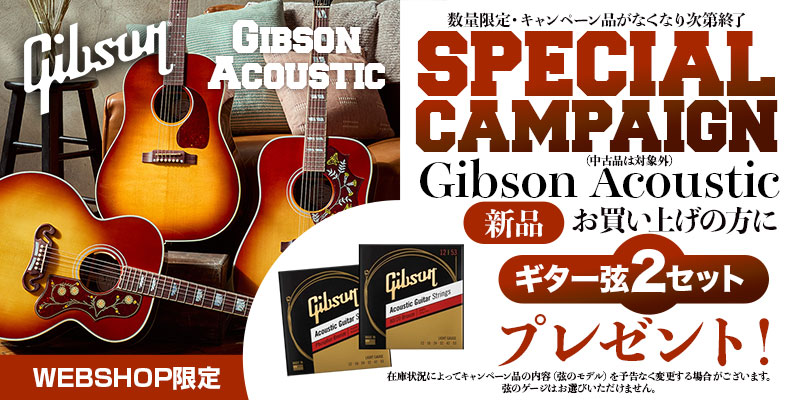 Gibson（ギブソン） Gibson / J-45 Standard VS (Vintage Sunburst