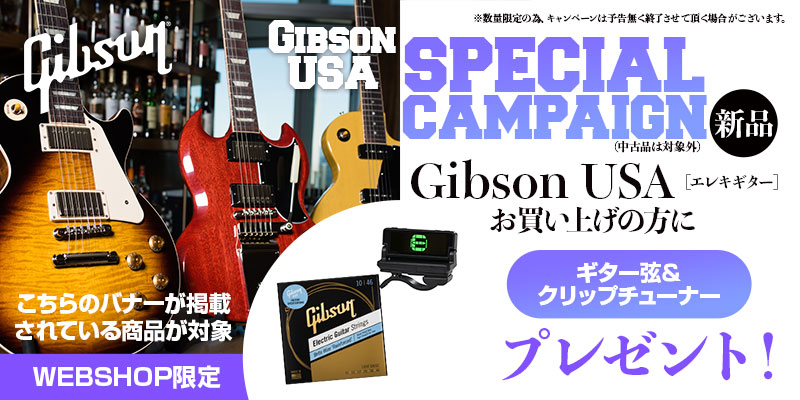 Gibson（ギブソン） Gibson USA / Les Paul Standard 60s Figured Top