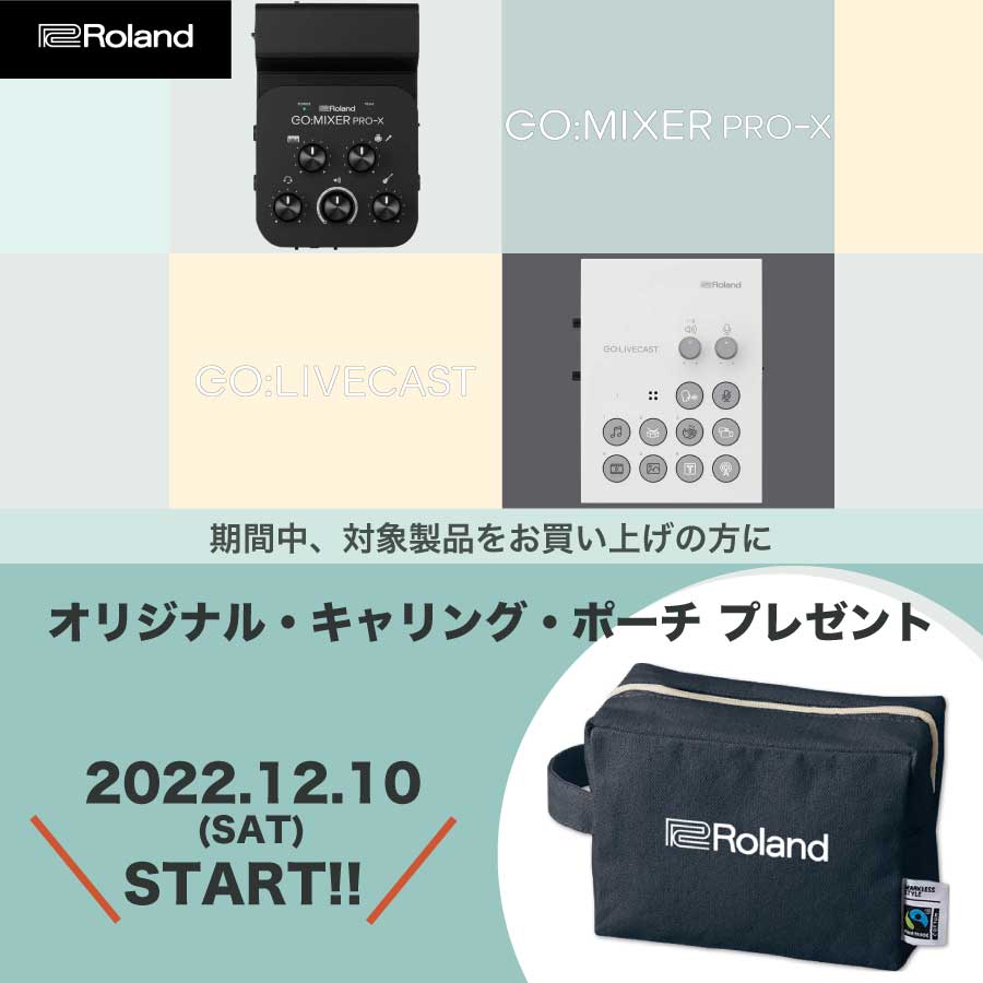 Roland / GO:MIXER PRO-X スターターセット -USB2ポートACアダプタ