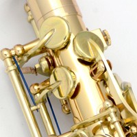 SELVA 初心者向けアルトサックス入門セット ALTOSAX SAS-100 セルバ(出荷前検品)(1年保証) : 80-set80532 :  イシバシ楽器 - 通販 - Yahoo!ショッピング