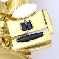 SELVA 初心者向けアルトサックス入門セット ALTOSAX SAS-100 セルバ