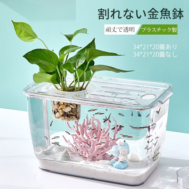 水槽 金魚鉢 飼育水槽 プラスチック テラリウム 透明アクリル 観葉植物 