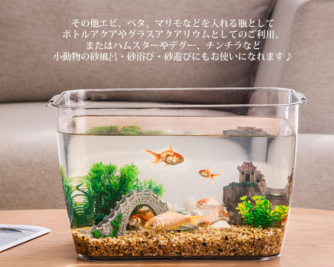 金魚鉢 メダカ 透明 水槽 花瓶 アクアリウム ボトルアクアリウム バブルボウル ボトルテラリウム 苔テラリウム コケリウム : t887000280  : 石田商事 - 通販 - Yahoo!ショッピング