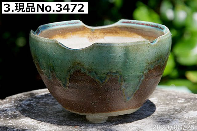 信楽焼 植木鉢 陶器 信楽焼伝統工芸士 作家 藤原順 作(古仙堂窯) 手