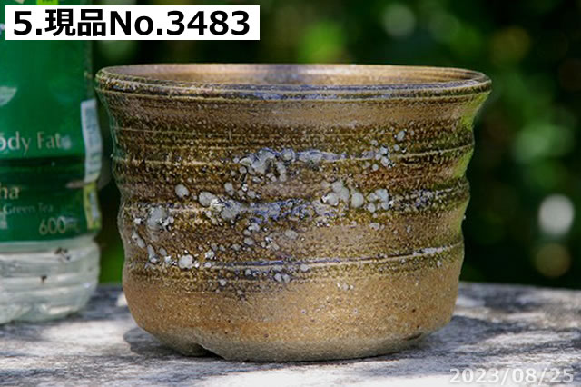 信楽焼 植木鉢 陶器 信楽焼伝統工芸士 作家 藤原順 作(古仙堂窯