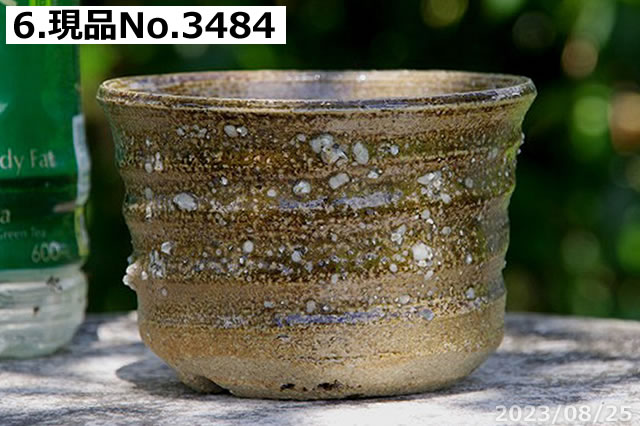 信楽焼　木石造　亀甲形　ビードロ釉　銀杏の図　弦付き　鉢　菓子鉢　茶道具　茶器 信楽焼 木石造 亀甲形 ビードロ釉 銀杏の図 弦付き 鉢 菓子鉢 茶道具