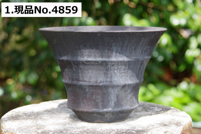 信楽焼 植木鉢 陶器  手びねり(ロクロ引き) 選べる 黒鉄釉(黒窯変) 波形(L) 6.5号 サナサービス【送料無料】の画像