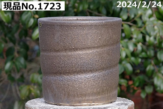 選べる 金彩 寸胴 8号 サナサービス 信楽焼 植木鉢 陶器 : 石田精華園