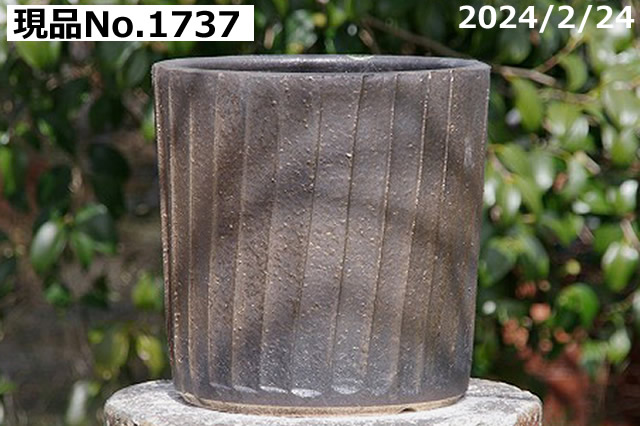 選べる  黒金彩ストライプ  寸胴 8号(外径29cm 高さ25cm)サナサービス 信楽焼 植木鉢 陶器 【送料無料】の画像