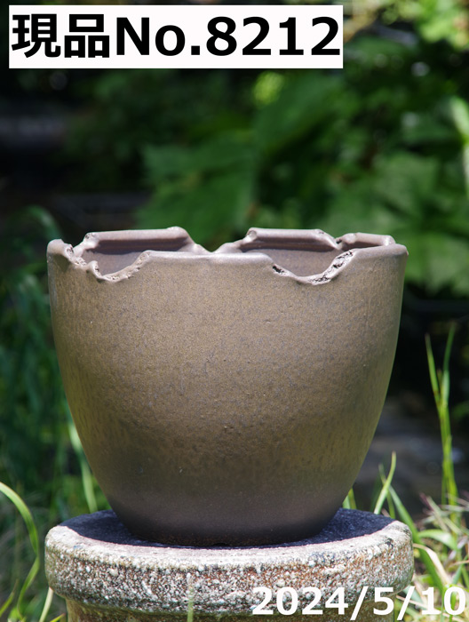 信楽焼 植木鉢 大型の商品一覧 通販 - Yahoo!ショッピング