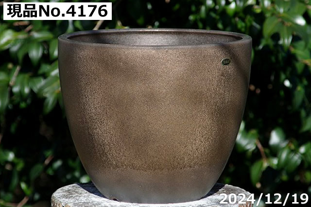 キンリョウヘン（植木鉢、プランター）｜園芸用品 | 花、ガーデニング