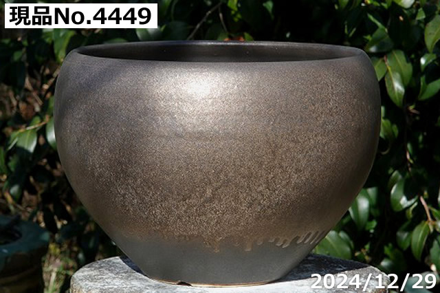 信楽焼 植木鉢 大型の商品一覧 通販 - Yahoo!ショッピング