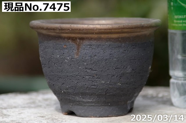 信楽焼 植木鉢 陶器 選べる 縁付金彩中深鉢 3.5号（外径11cm 高さ7.5cm