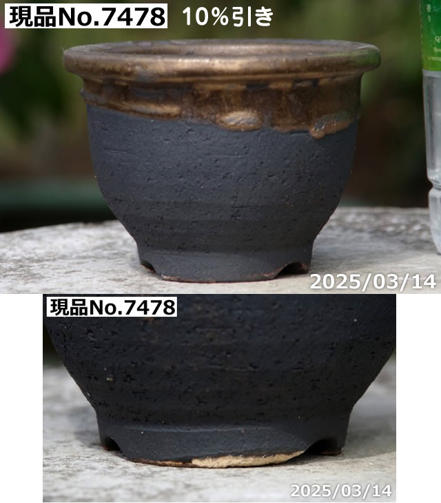 信楽焼 植木鉢 陶器 選べる 縁付金彩中深鉢 3.5号（外径11cm 高さ7.5cm