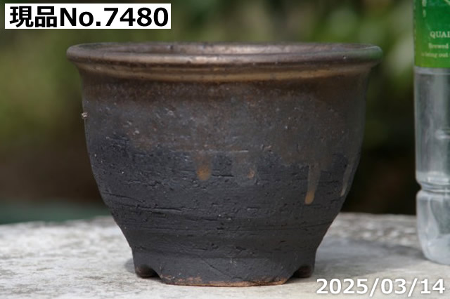 信楽焼 植木鉢 陶器 選べる 縁付金彩中深鉢 3.5号（外径11cm 高さ7.5cm