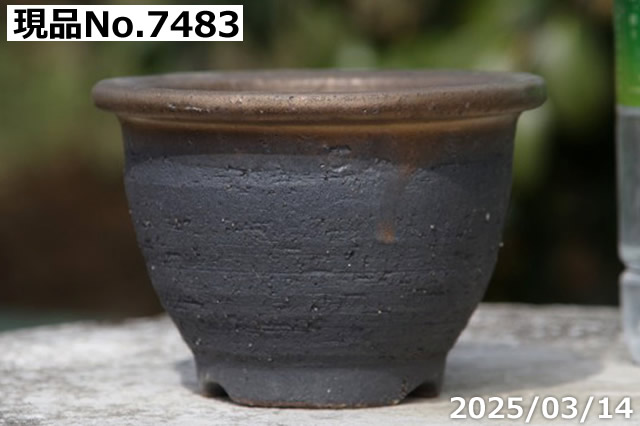 信楽焼 植木鉢 陶器 選べる 縁付金彩中深鉢 3.5号（外径11cm 高さ7.5cm