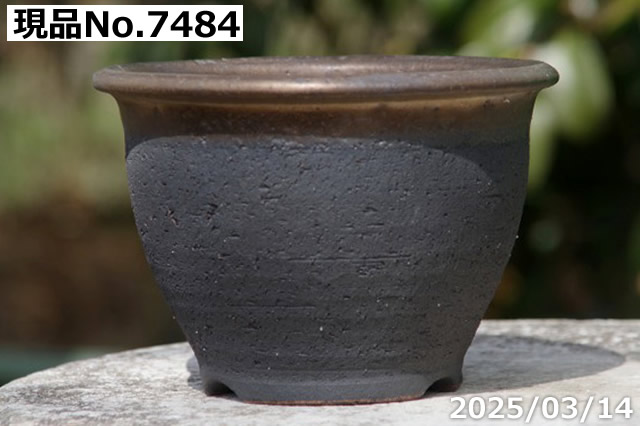 信楽焼 植木鉢 陶器 選べる 上下掛分け 縁付金彩中深鉢 4.5号（外径