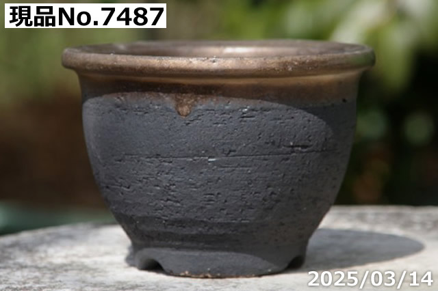 信楽焼 植木鉢 陶器 選べる 縁付金彩中深鉢 3.5号（外径11cm 高さ7.5cm