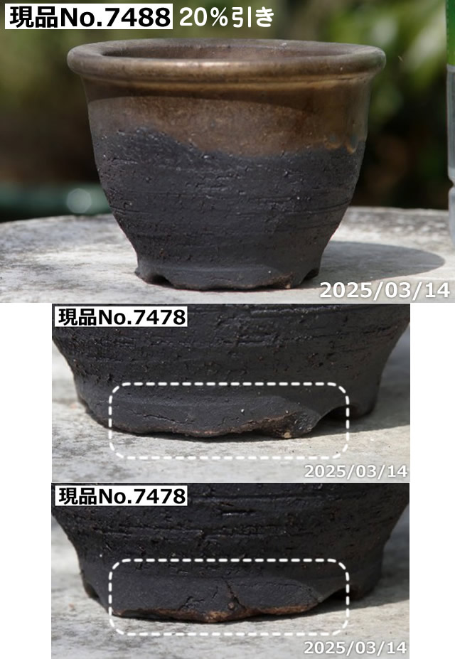 信楽焼 植木鉢 陶器 選べる 縁付金彩中深鉢 3.5号（外径11cm 高さ7.5cm