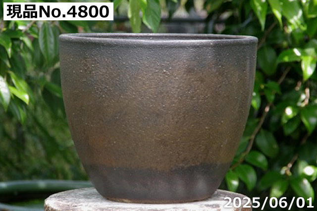 信楽焼　大型植木鉢　大鉢　観葉植物　プランター 信楽焼 植木鉢 大型（植木鉢）｜鉢、プランター｜庭、ガーデニング